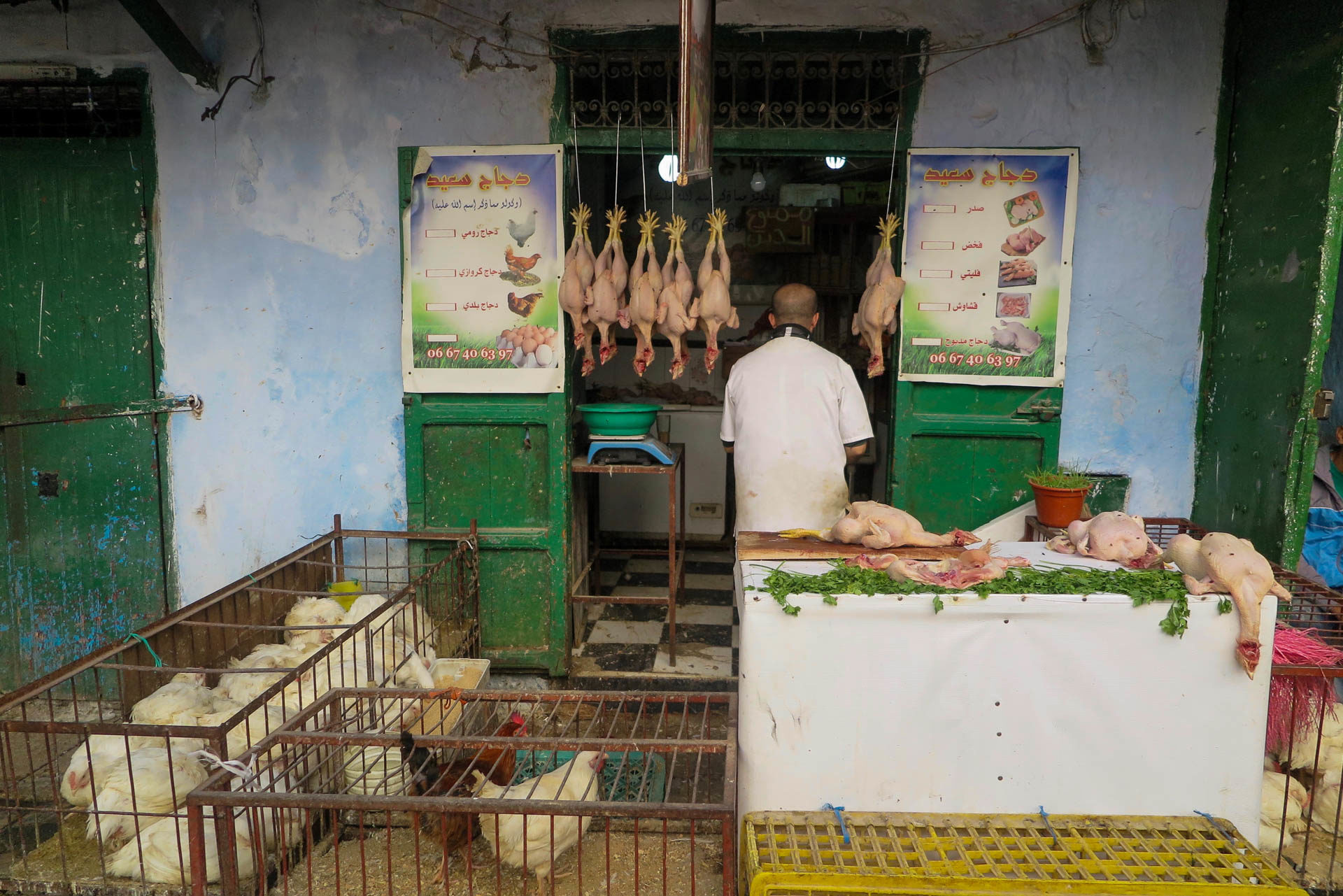 ChickMen