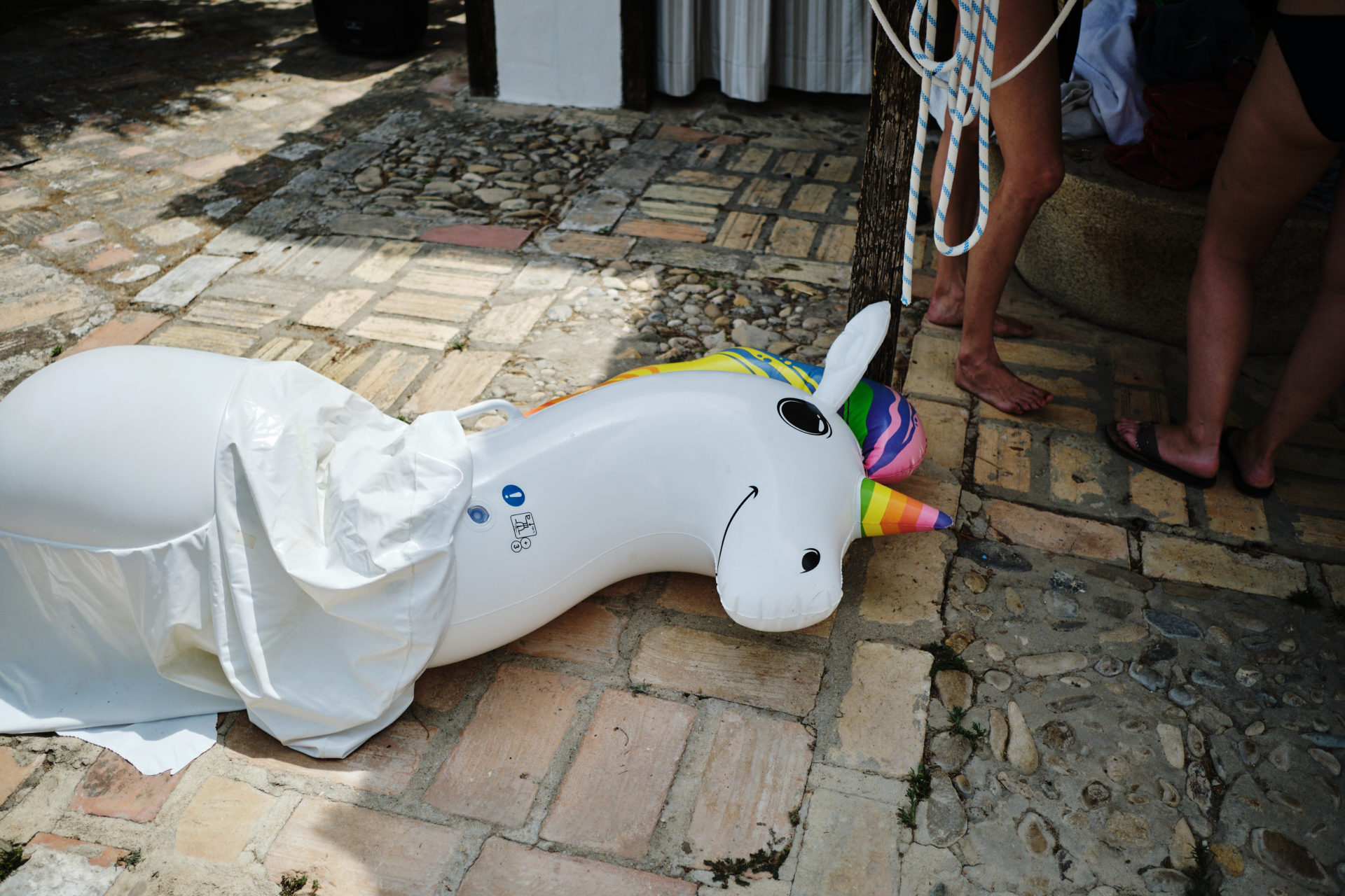 unicorn