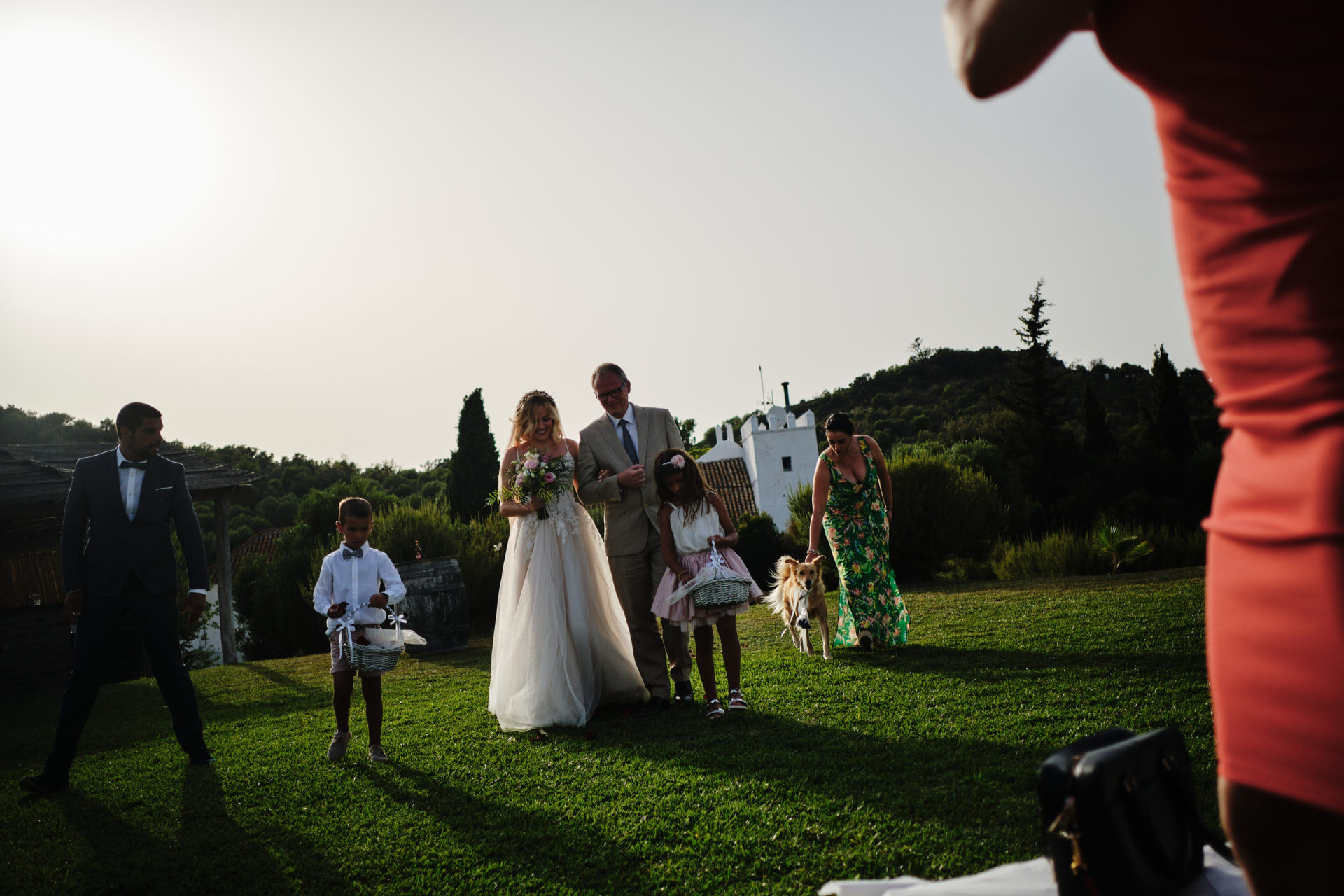 wedding