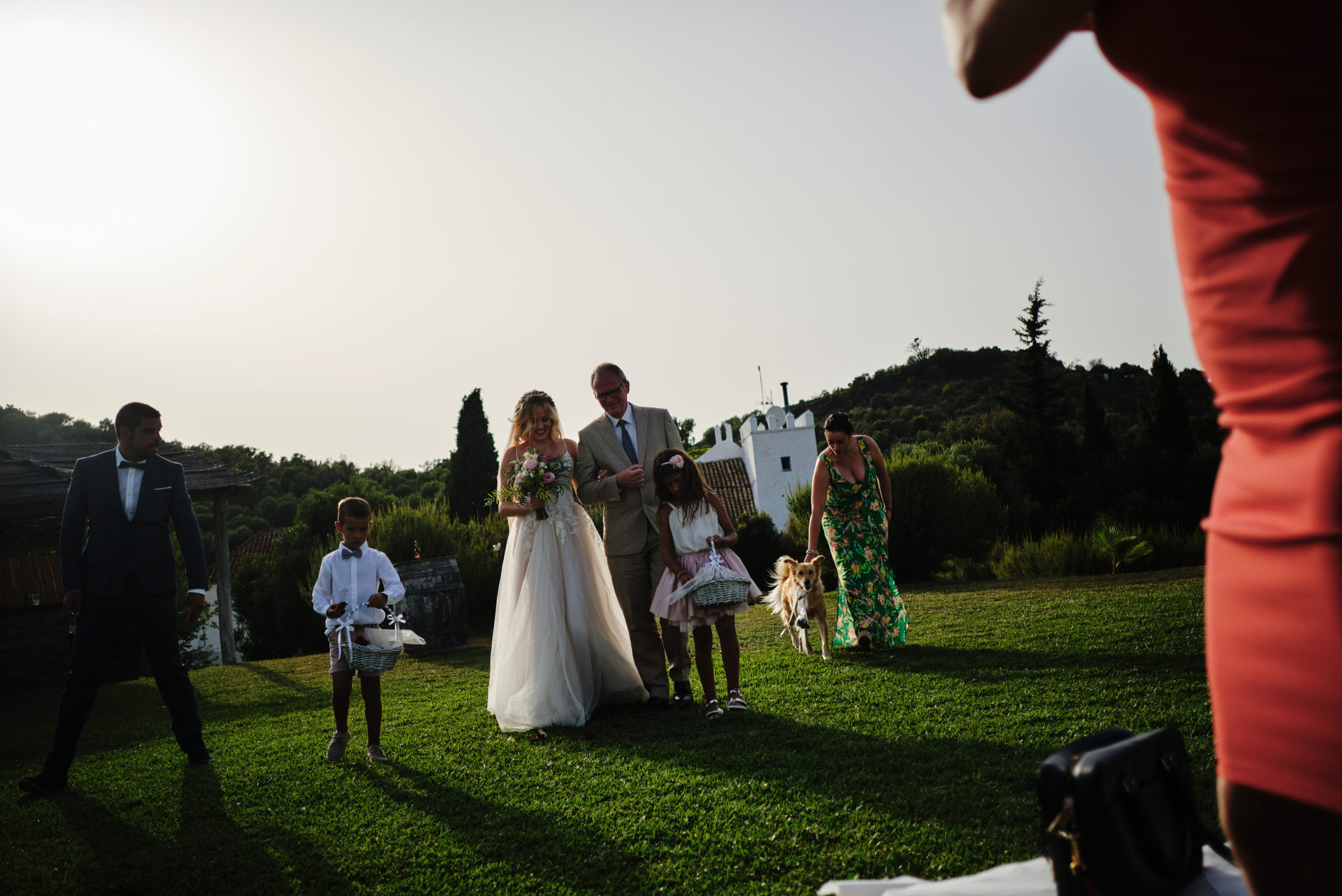 wedding