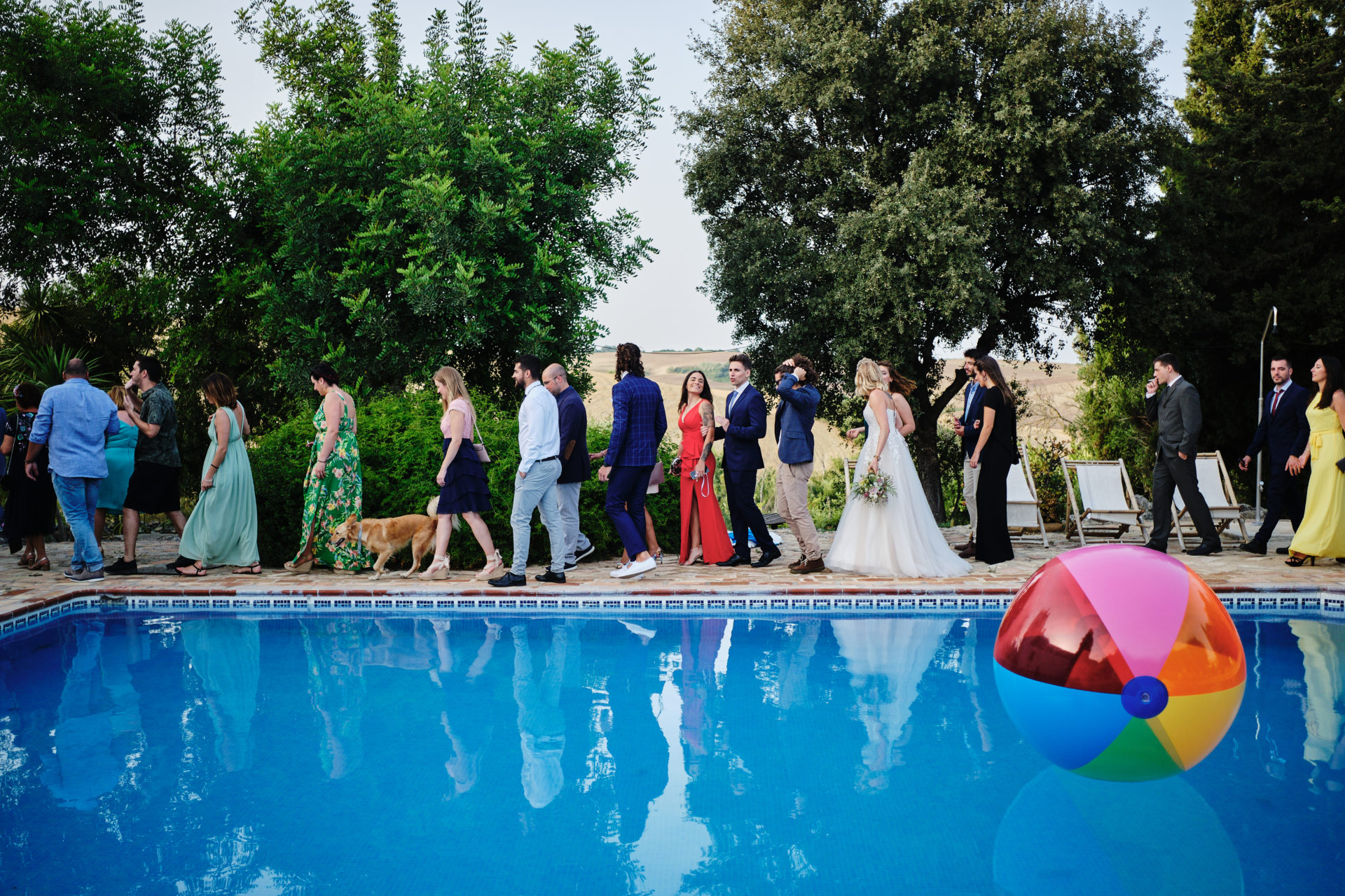 wedding